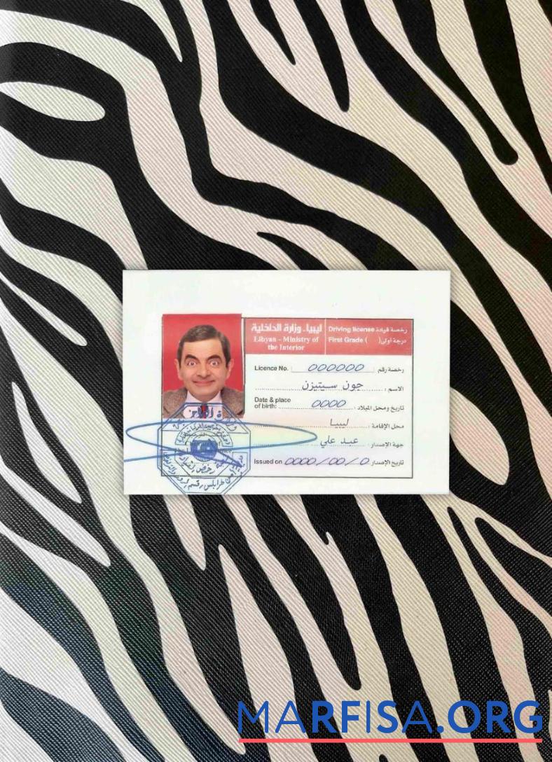 Downloadable Libya DL photolook template